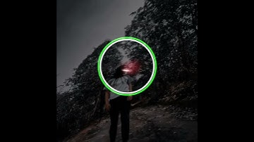 Post Malone -GO FLEX #status #whatsappstatus #alightmotion