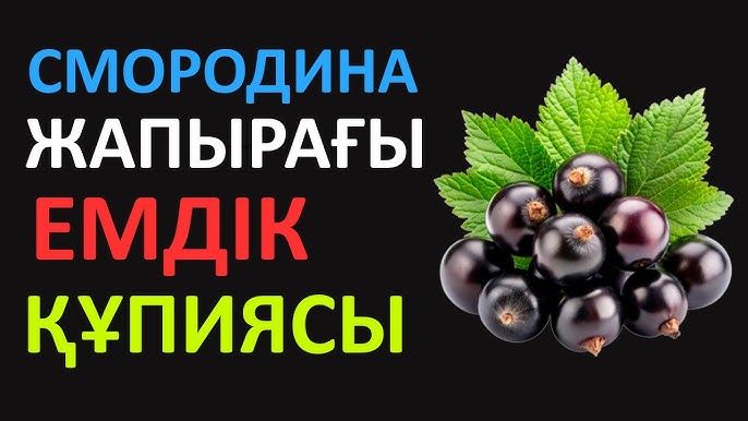 Пенисаға енгізілген бөгде денелер Металл жыныс катетері