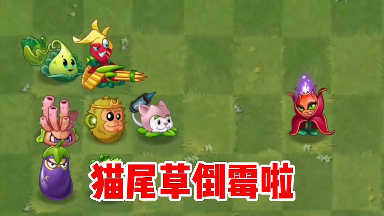 什么情況？植物大戰僵尸里的反轉！獼猴桃幫貓尾草混入僵尸團伙…驚喜來了！ #植物大战僵尸 #PVZ #杂交版 #PVZ杂交版 #游戏解说