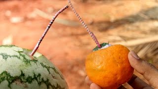 Watermelon Versus Firecracker | FlopCloud