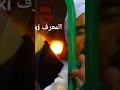   وردة ذكرياتي