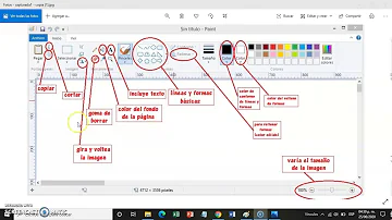 ¿Cuál es el área de trabajo en Paint?