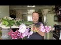 лёгкая ПЕРЕСАДКА ОРХИДЕЙ в СУПЕР грунт для разных условий содержания и полива орхидеи