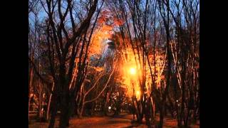 ”Don't miss you at all”  Norah Jones  (Cover)