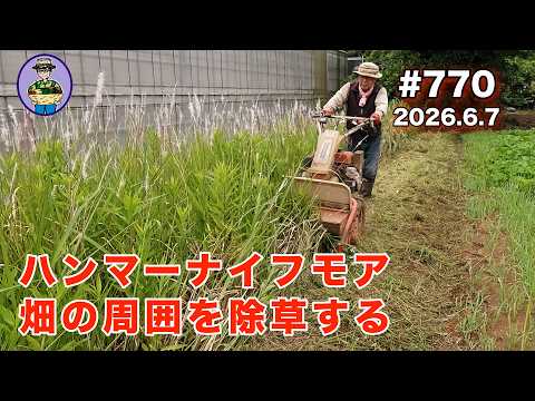 FM650 つる切り　ハンマーナイフ Hammer Knife Mower] Episode 770: Cutting the weeds around the area
