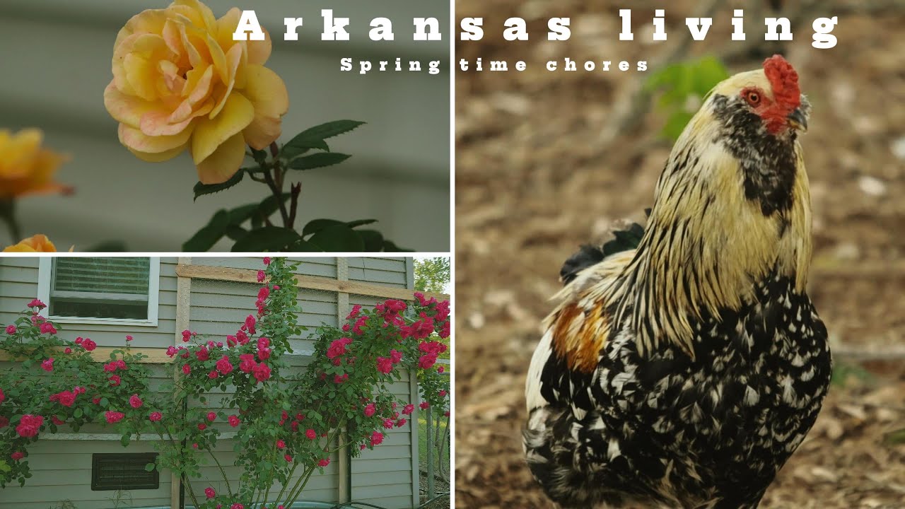 Arkansas living - spring time chores - YouTube
