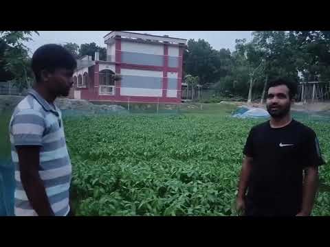 Sujon-Demo-006
