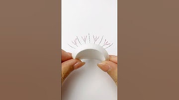 Shine Bright, Flutter Bold – Elevate Your Glam with Lively Lash Extensions! ✨Shop on vavalash.com