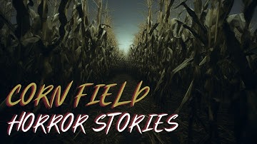 3 Terrifying TRUE Cornfield Horror Stories