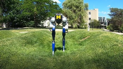 One-Step Ahead Prediction of Angular Momentum for Control of Bipedal Locomotion