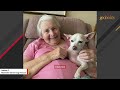 100-year-old woman adopts a senior dog. Now they are inseparable.