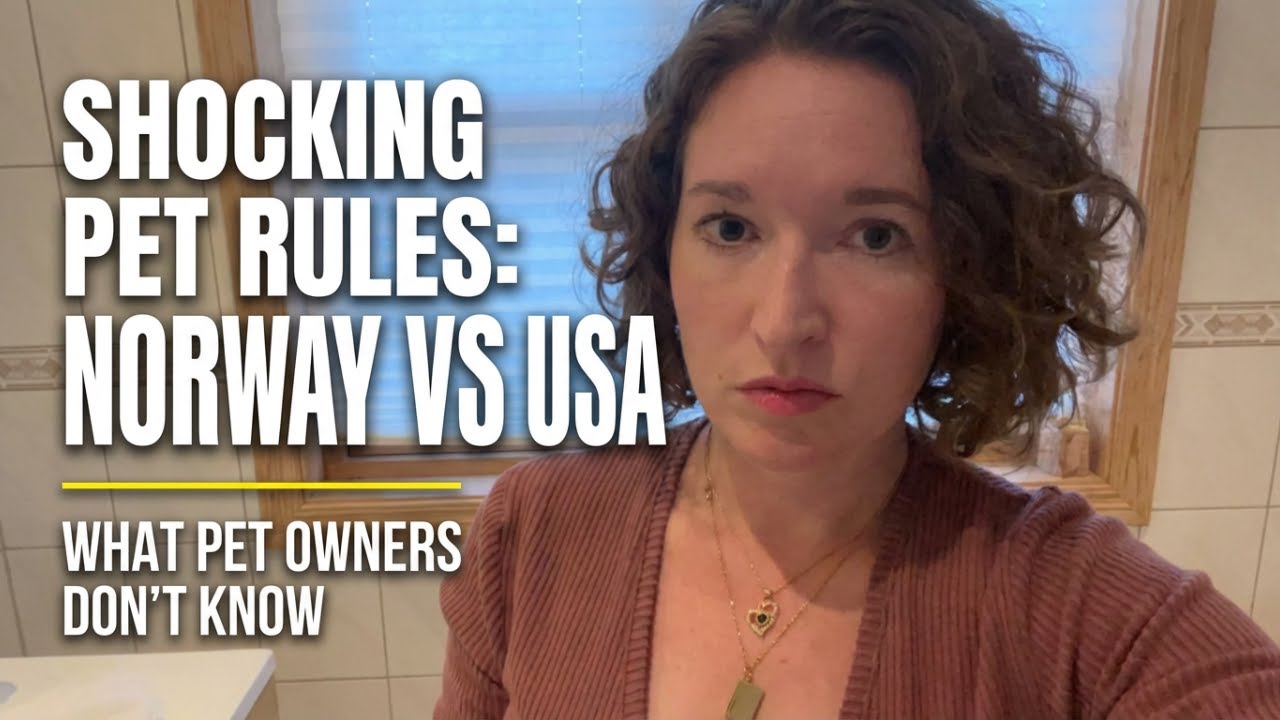 Norway vs USA: Why Dog Ownership Is So Different | Pet Culture Shock