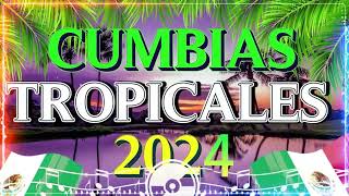 🔆CUMBIAS VIEJITAS TROPICALES✨LAS MEJORES CUMBIAS MIX TROPICAL FLORIDA,LOS KARKIS,ACAPULCO TROPICAL…