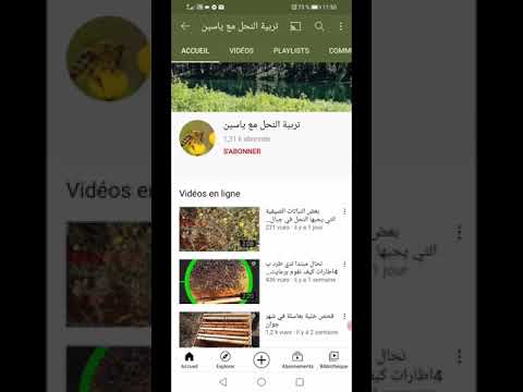 تعرف على قناة تربية النحل مع ياسين