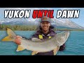 Monster trout hunting in the yukon