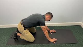 Cat-Camel with Abdominal Breath Work | Low Back Mobility & Core Stability | Livonia Chiropractor