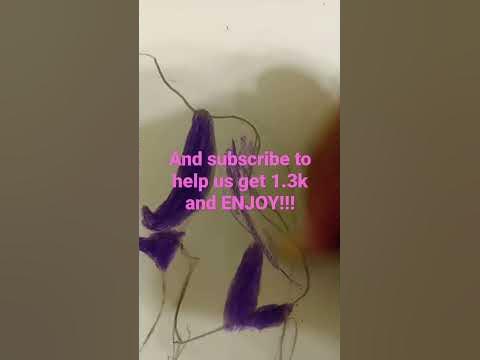 drawing a realistic scrunchie - YouTube