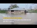 Crisis en La Mojana: Ganado Evacuado por Inundaciones del Río Cauca - TvAgro por Juan Gonzalo Angel