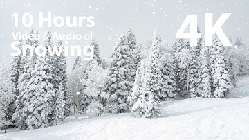 4K 10 hours - Snowing on trees - relaxing, gentle, calming