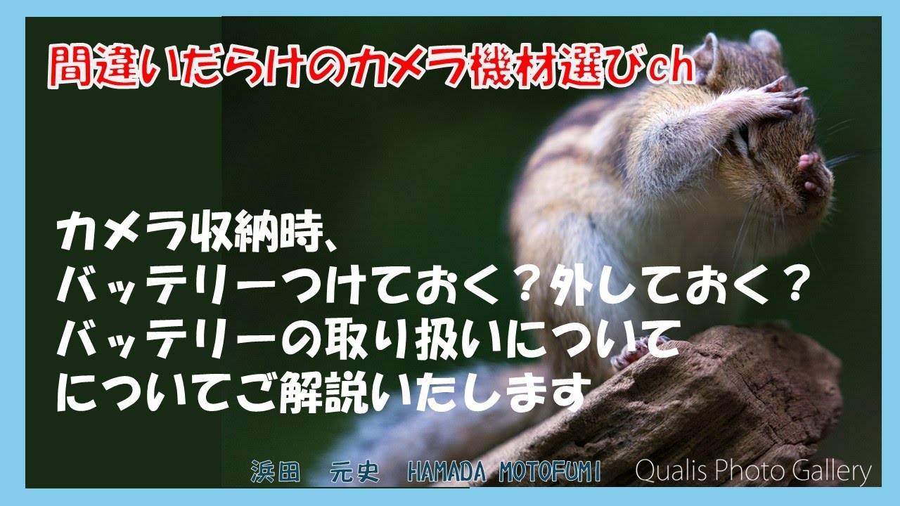 間違いだらけのカメラ機材選びch 「カメラ収納時、バッテリーつけておく？外しておく？バッテリーの取り扱いについてについてご解説いたしますおく？」