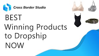 Dropshipping Product Recommendation Second Week In July