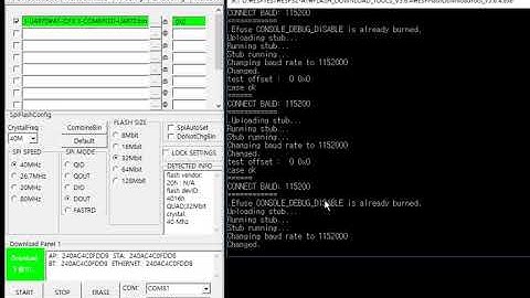 esp32 firmware down (ESP programmer tool)