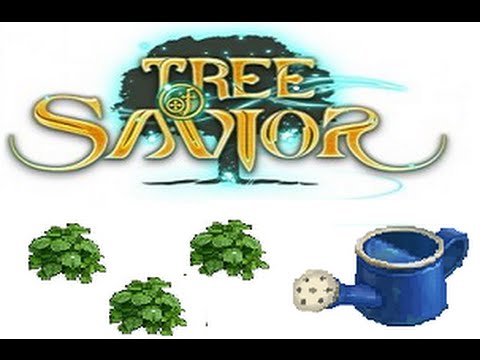 dilgele tos  New Update  TREE OF SAVIOR: Guild Hangout '' How to plant a Dilgele seeds''