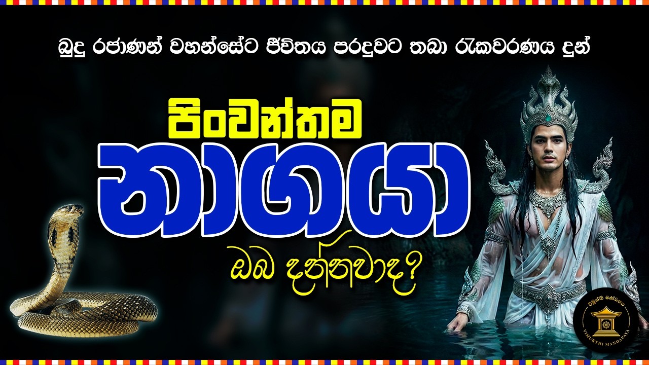 Pinvanthama nagaya 🐍 sinhala bana katha 🙏🏻 | Budu bana | Jathaka katha 🇱🇰