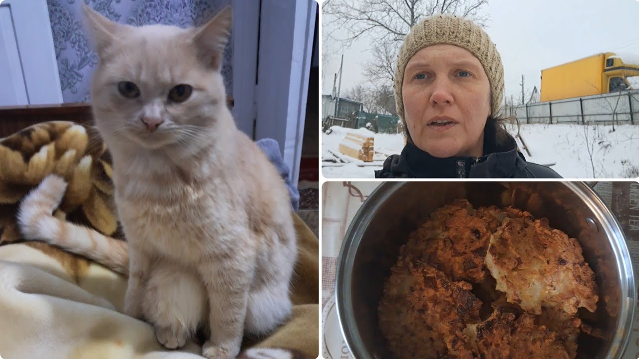 Наші будні 15 січня 2026