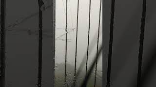 Train and Rain #shortvideo #railway