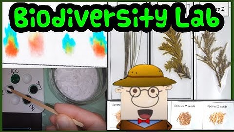 Relationships and Biodiversity NYS Living Environment Lab Walkthrough/Virtual Lab