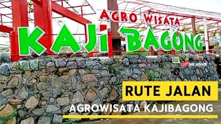Download lagu KAJIBAGONG PURWOSARI PASURUAN AGROTOURISM ROAD ROUTE