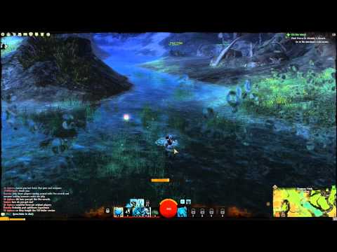 Guild Wars 2 - Visual Bug