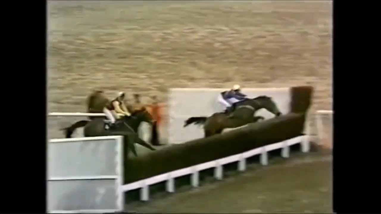Night Nurse on Fire with 3 Wins over 2 Miles in 1979 and a Jumping Exhibition.Racing Legends