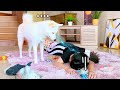 Dog Reacts to Me fake Dying *SHE CRIED AHH 😭💕* | MiniMoochi