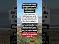 Extrem hohe Spritpreise unzumutbar – Preisobergrenze und CO2-Steuer runter! #geldpolitik#deutschland
