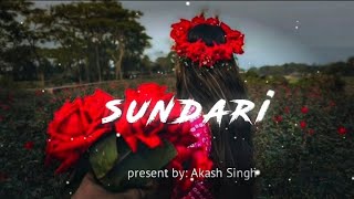 🎧 Sundari Sun (Slowed + Reverb) Relaxing Vibes ✨Sundari (Slowed+Reverd) Night 🌃 Remix Song🎵