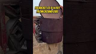 Install Bucket Traps for Coconut 🌴 Plants | Pheromone Lure for Rhinoceros Beetle #naiwikfarms