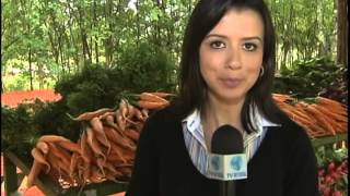 Agricultura e floresta podem dividir o mesmo espaço  - Repórter Brasil (noite)