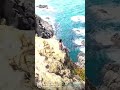 Cabo Sardão in #portugal #drone #shorts #colorgrading