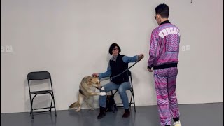Dog Daddy Working With A Non Aggressive But Unruly Dog. by The Dog Daddy 15,796 views 1 month ago 8 minutes, 14 seconds