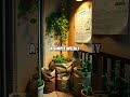 Green Thrift Balcony Harvests A Fresh Frugal Approach