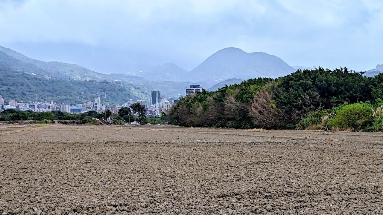 關渡平原的冬藏