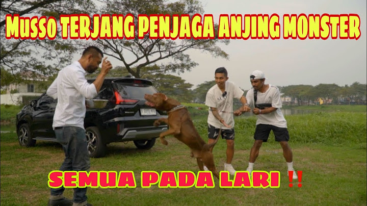 MUSSO TERJANG PENJAGA ANJING MONSTER ‼️ SEMUA PADA LARI