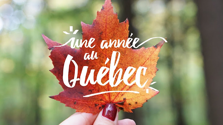 Une année au Québec - Une nouvelle page
