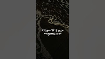 وعد الله المؤمنين و المؤمنات جنات تجري من تحتها الأنهار || القارئ: خالد الجليل