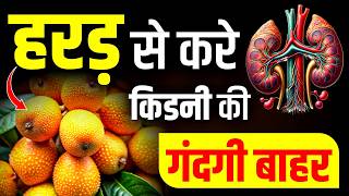 हरड स कडन क गदग बहर Kidney Detox Kidney Treatment In Ayurveda Krm Ayurveda