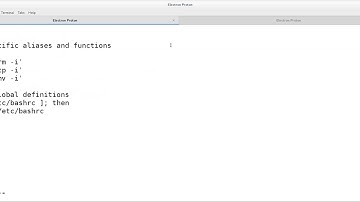 Setting persistent environment in Linux