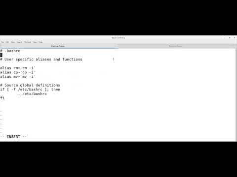 Setting persistent environment in Linux