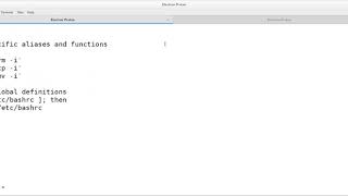 Setting persistent environment in Linux